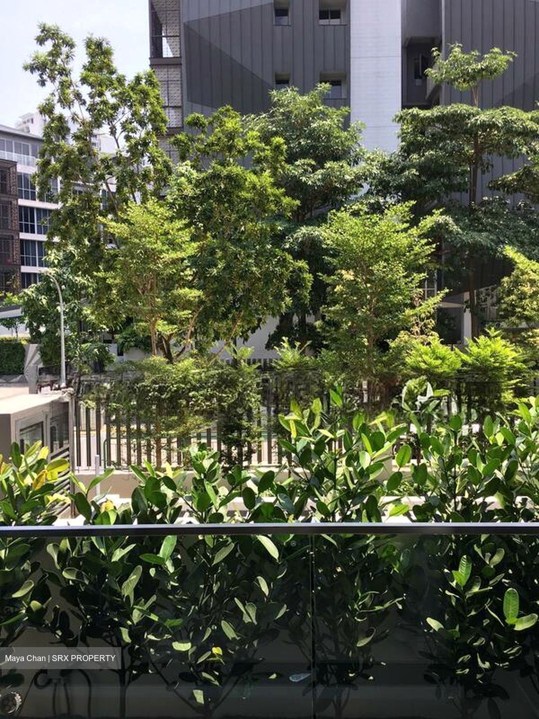 38 Jervois (D10), Apartment #508940831